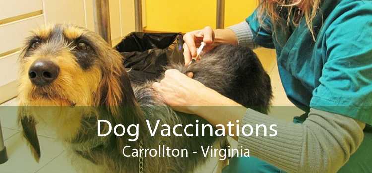 Dog Vaccinations Carrollton - Virginia
