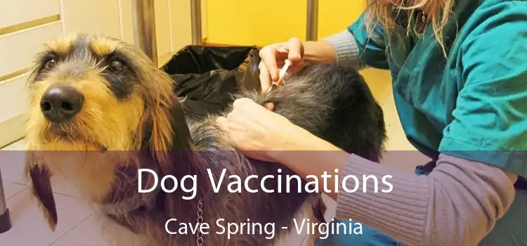 Dog Vaccinations Cave Spring - Virginia