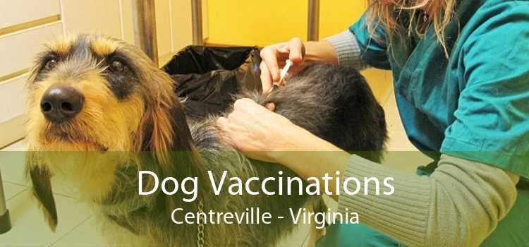 Dog Vaccinations Centreville - Virginia