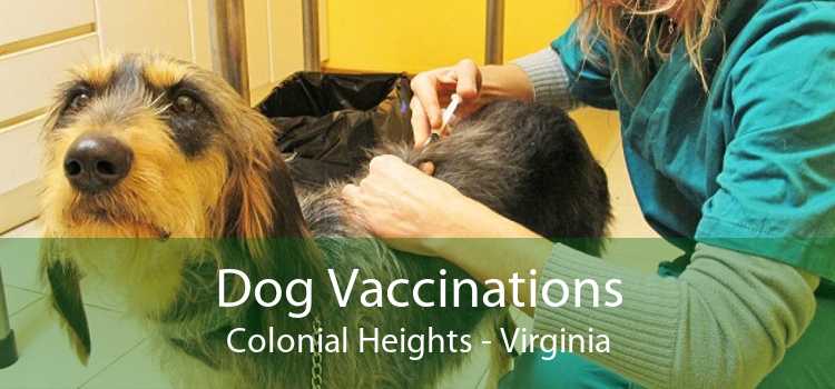 Dog Vaccinations Colonial Heights - Virginia