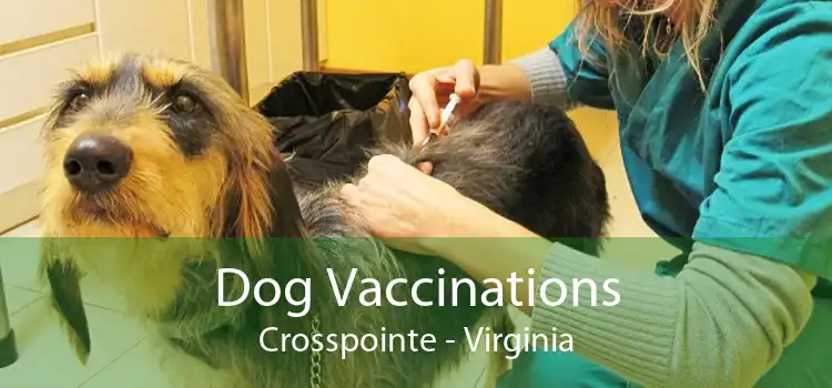 Dog Vaccinations Crosspointe - Virginia