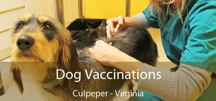 Dog Vaccinations Culpeper - Virginia