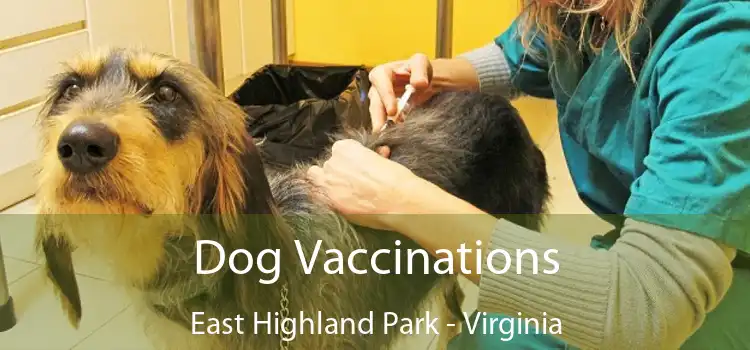 Dog Vaccinations East Highland Park - Virginia