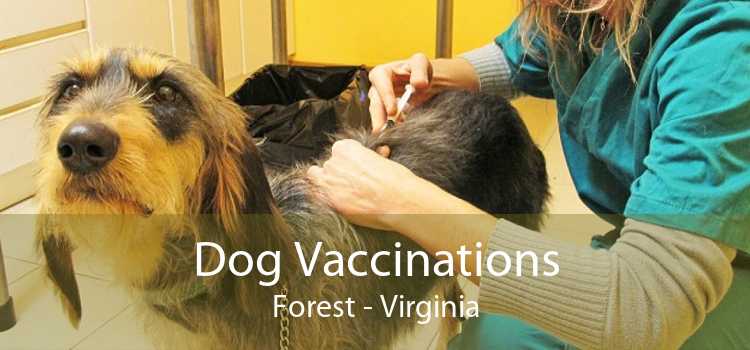 Dog Vaccinations Forest - Virginia