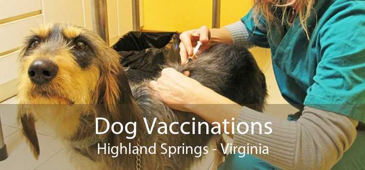 Dog Vaccinations Highland Springs - Virginia