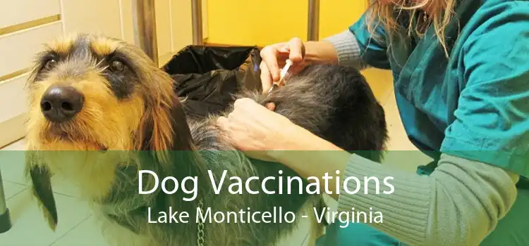 Dog Vaccinations Lake Monticello - Virginia