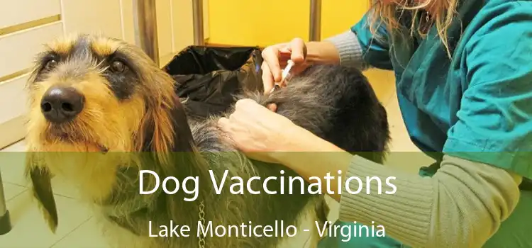 Dog Vaccinations Lake Monticello - Virginia