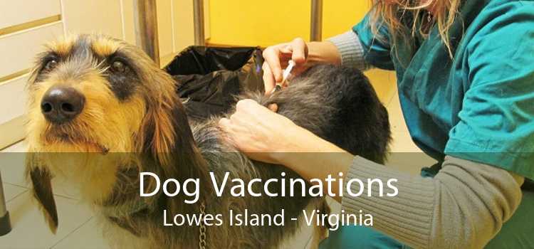 Dog Vaccinations Lowes Island - Virginia