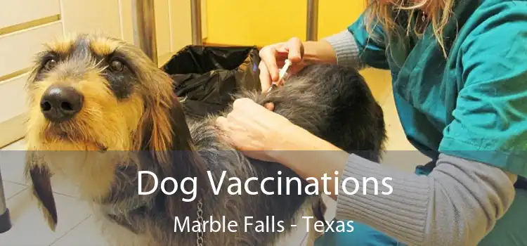 Dog Vaccinations Marble Falls - Texas