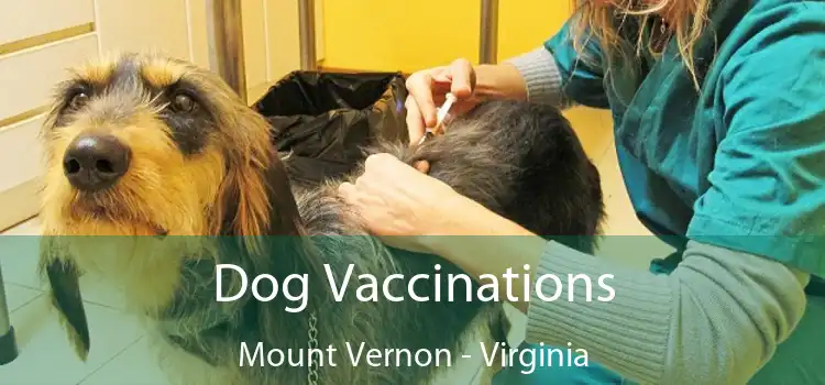 Dog Vaccinations Mount Vernon - Virginia