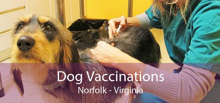 Dog Vaccinations Norfolk - Virginia