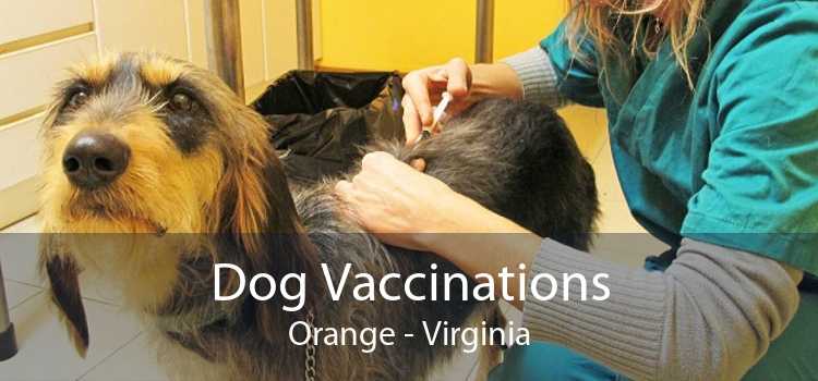 Dog Vaccinations Orange - Virginia