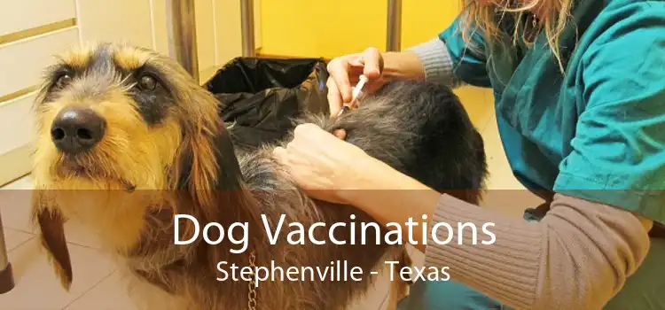 Dog Vaccinations Stephenville - Texas