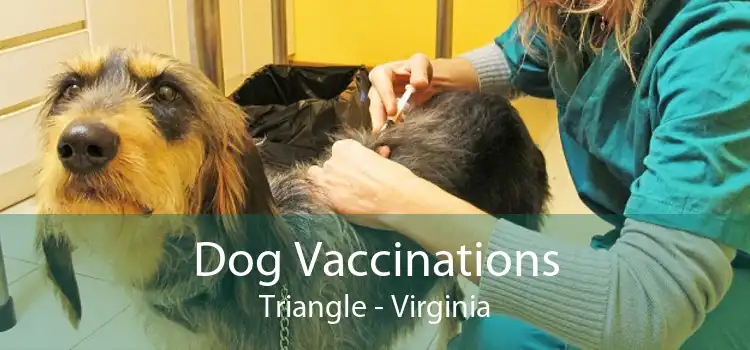 Dog Vaccinations Triangle - Virginia