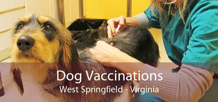 Dog Vaccinations West Springfield - Virginia