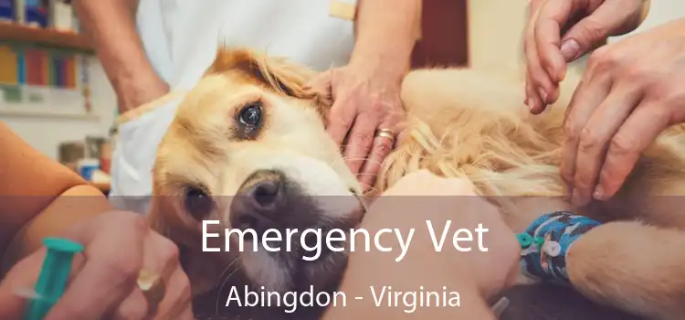 Emergency Vet Abingdon - Virginia