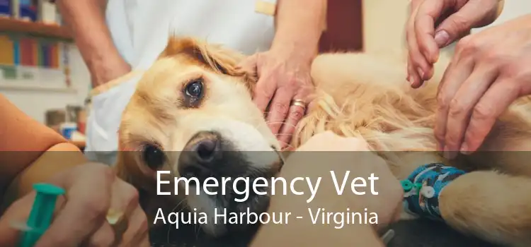 Emergency Vet Aquia Harbour - Virginia