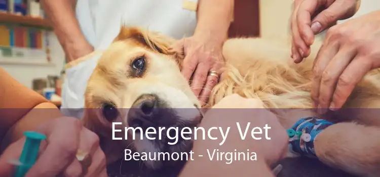 Emergency Vet Beaumont - Virginia