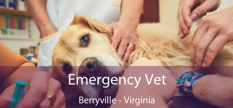 Emergency Vet Berryville - Virginia