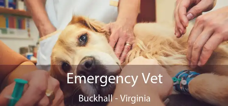 Emergency Vet Buckhall - Virginia