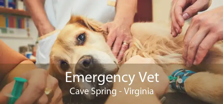 Emergency Vet Cave Spring - Virginia