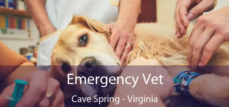 Emergency Vet Cave Spring - Virginia