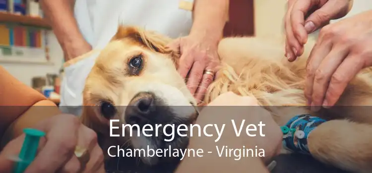 Emergency Vet Chamberlayne - Virginia