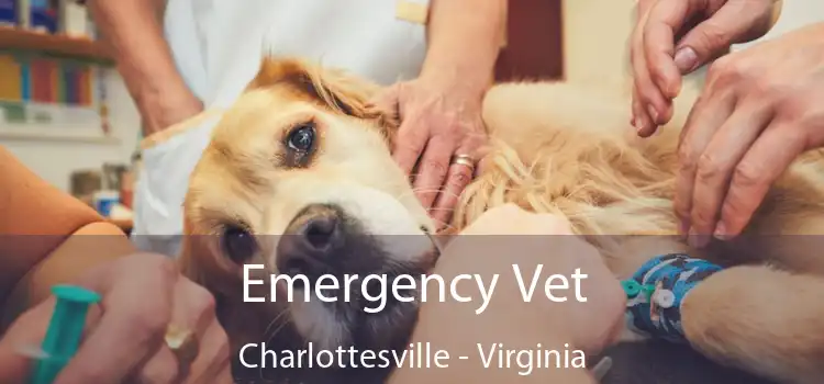 Emergency Vet Charlottesville - Virginia