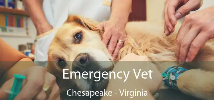 Emergency Vet Chesapeake - Virginia