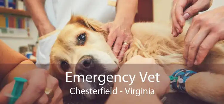 Emergency Vet Chesterfield - Virginia