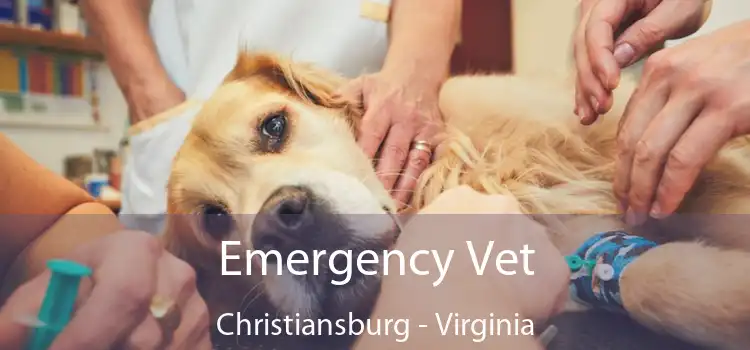 Emergency Vet Christiansburg - Virginia