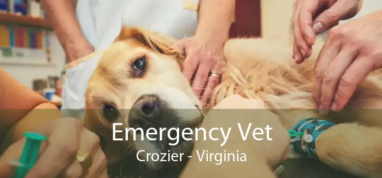 Emergency Vet Crozier - Virginia