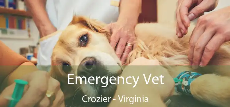 Emergency Vet Crozier - Virginia