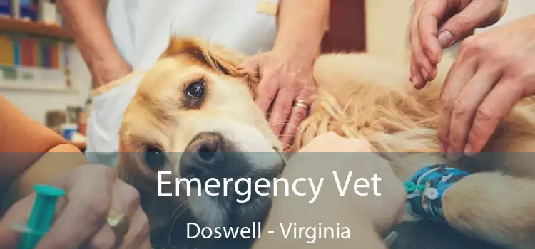 Emergency Vet Doswell - Virginia