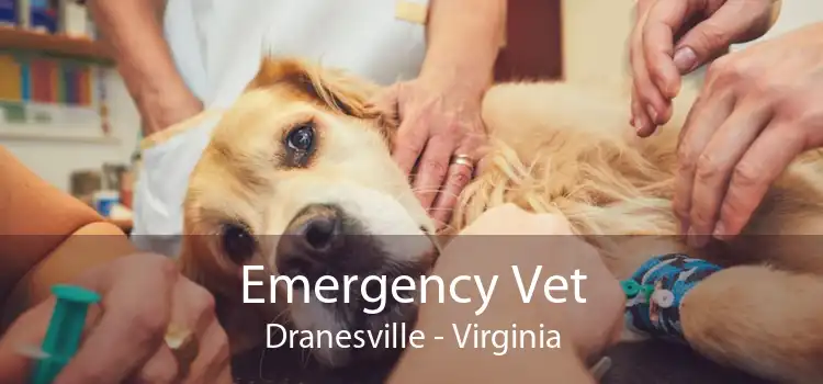 Emergency Vet Dranesville - Virginia