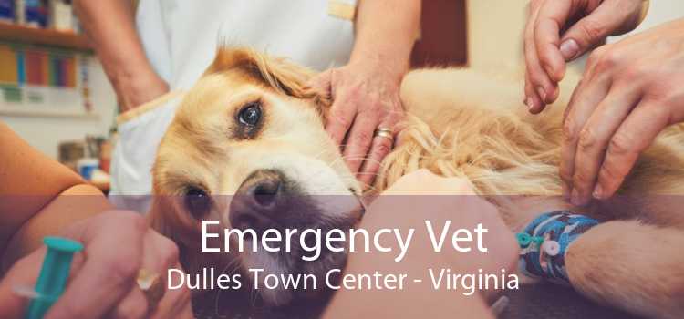 Emergency Vet Dulles Town Center - Virginia