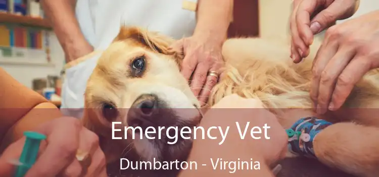 Emergency Vet Dumbarton - Virginia