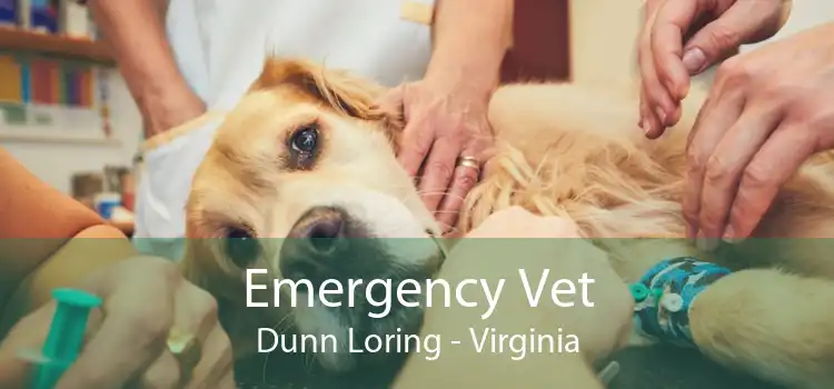 Emergency Vet Dunn Loring - Virginia