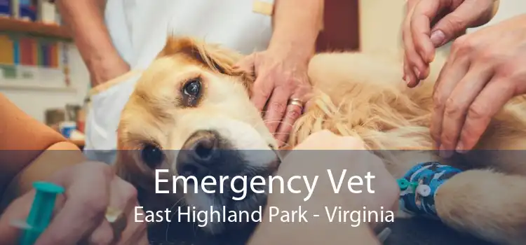 Emergency Vet East Highland Park - Virginia
