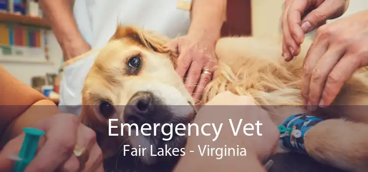 Emergency Vet Fair Lakes - Virginia