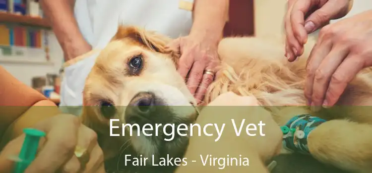 Emergency Vet Fair Lakes - Virginia