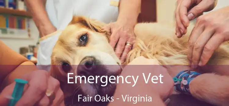 Emergency Vet Fair Oaks - Virginia