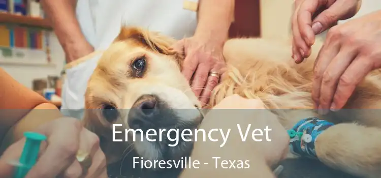 Emergency Vet Fioresville - Texas