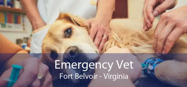 Emergency Vet Fort Belvoir - Virginia