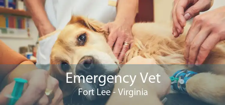 Emergency Vet Fort Lee - Virginia
