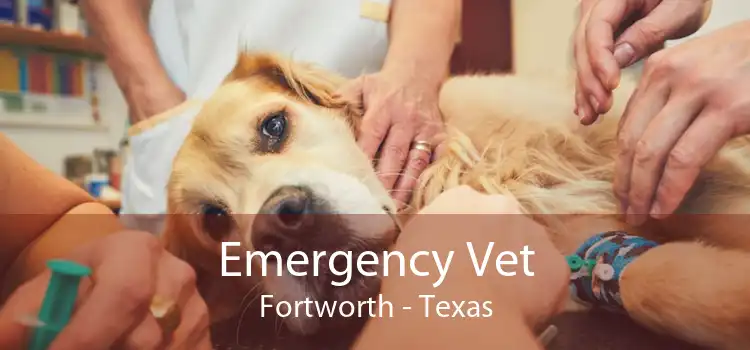 Emergency Vet Fortworth - Texas