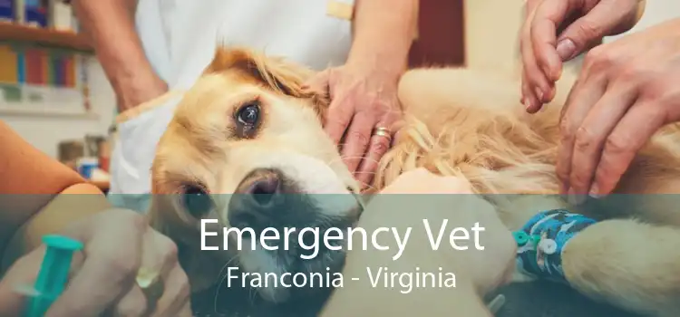 Emergency Vet Franconia - Virginia