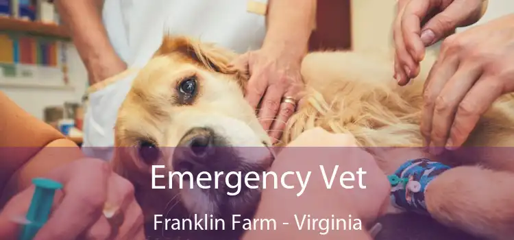 Emergency Vet Franklin Farm - Virginia