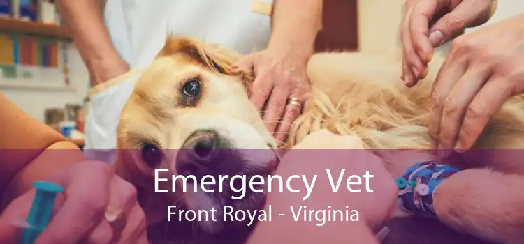 Emergency Vet Front Royal - Virginia