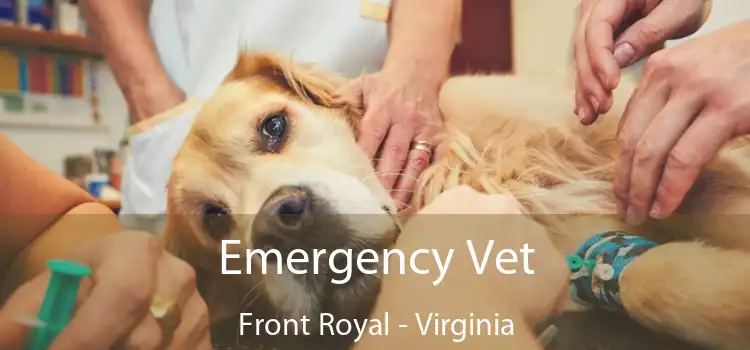 Emergency Vet Front Royal - Virginia